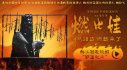 1769视频在线观看
